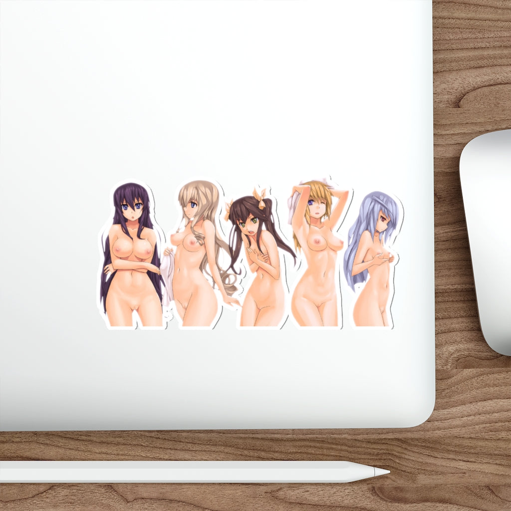 Infinite Stratos Nude Hentai Waifus Waterproof Sticker - Ecchi Vinyl Decal