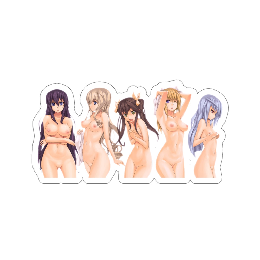 Infinite Stratos Nude Hentai Waifus Waterproof Sticker - Ecchi Vinyl Decal