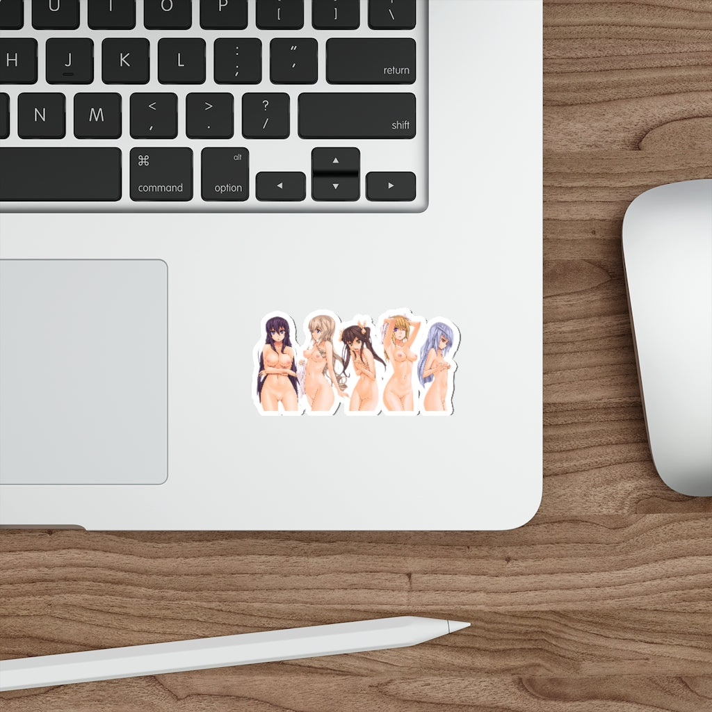 Infinite Stratos Nude Hentai Waifus Waterproof Sticker - Ecchi Vinyl Decal